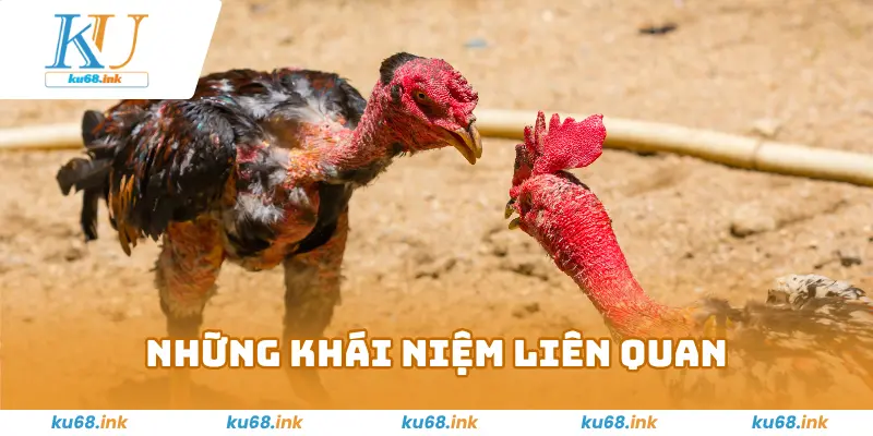 Thuật Ngữ Đá Gà –Kiến Thức Hay Và Hữu Ích Cho Kê Thủ 2025 3 Những khái niệm liên quan đến tỉ lệ ăn thưởng