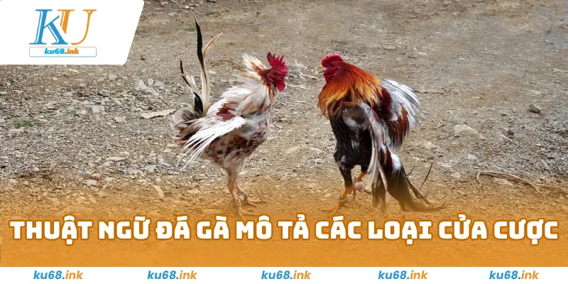 Thuật Ngữ Đá Gà –Kiến Thức Hay Và Hữu Ích Cho Kê Thủ 2025 4 Thuật ngữ đá gà mô tả các loại cửa cược